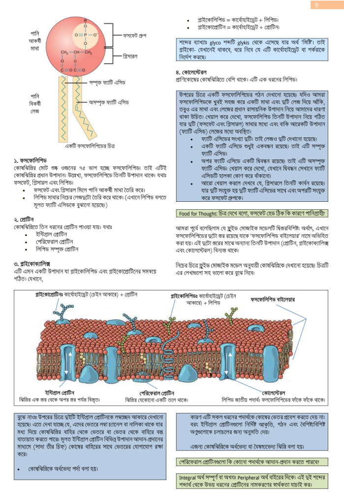 উদ্ভিদবিজ্ঞানঃ কোষঝিল্লি (অধ্যায় ১)