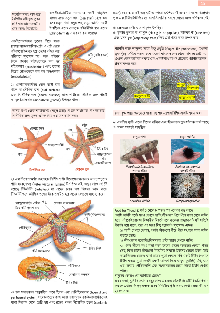 প্রাণিবিজ্ঞানঃ একাইনোডার্মাটা (অধ্যায় ১)