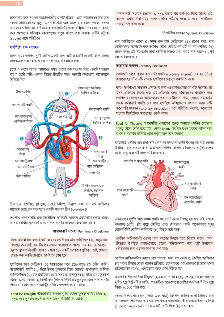 প্রাণিবিজ্ঞানঃ রক্ত সংবহন (অধ্যায় ৪)